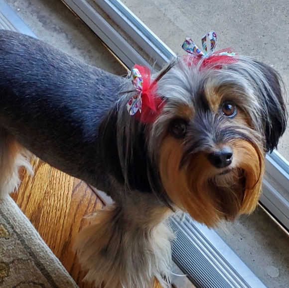 Meet your Posher, Tracie - Picture 5 of 5